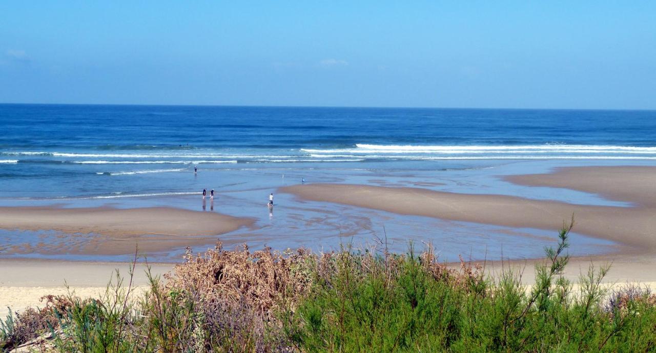 Logis Hotel De France Mimizan-Plage Bagian luar foto